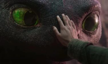 Cómo entrenar a tu dragón